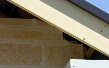 soffit repair Forteviot