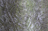 Forteviot fibreglass roof work